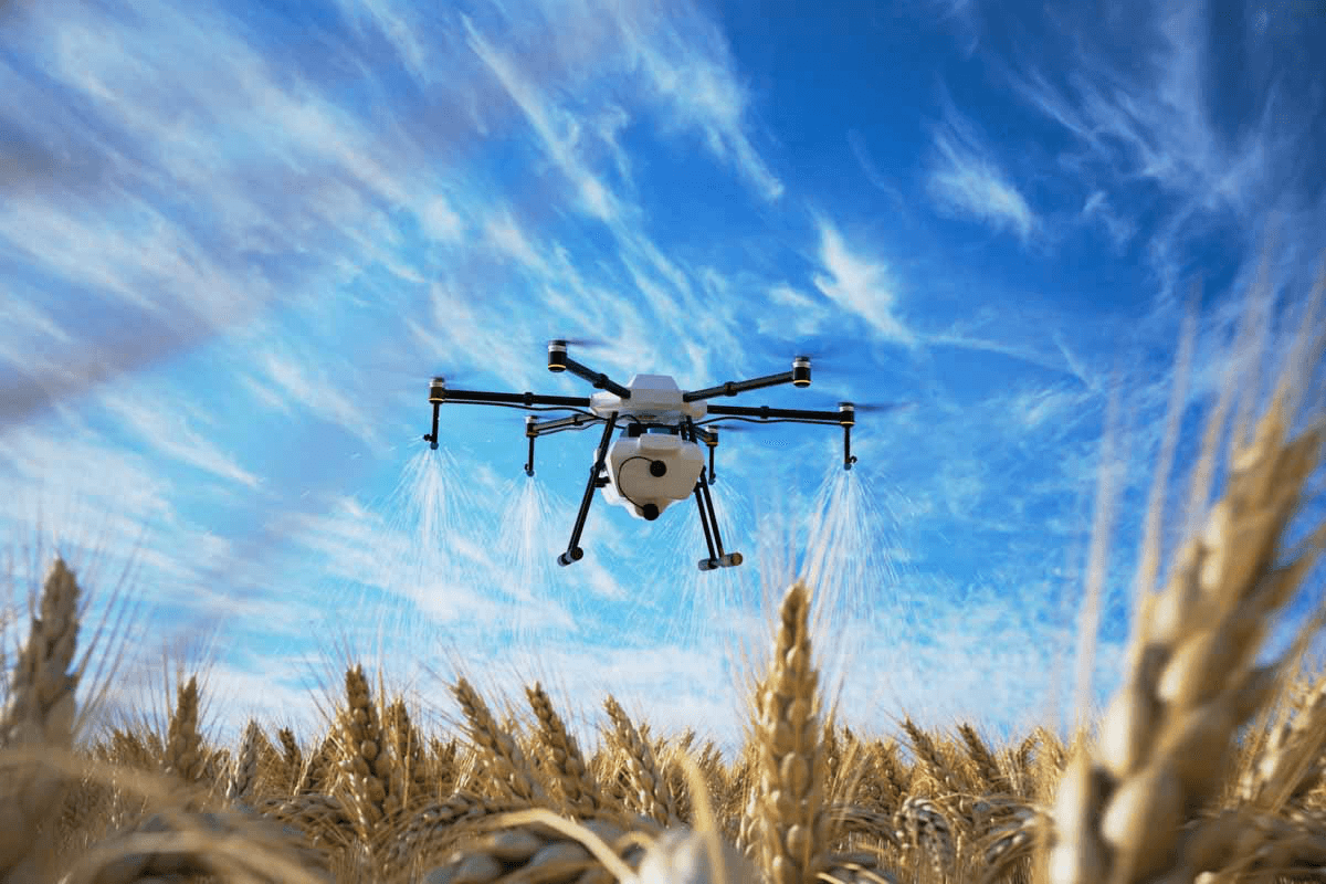 Agriculture
