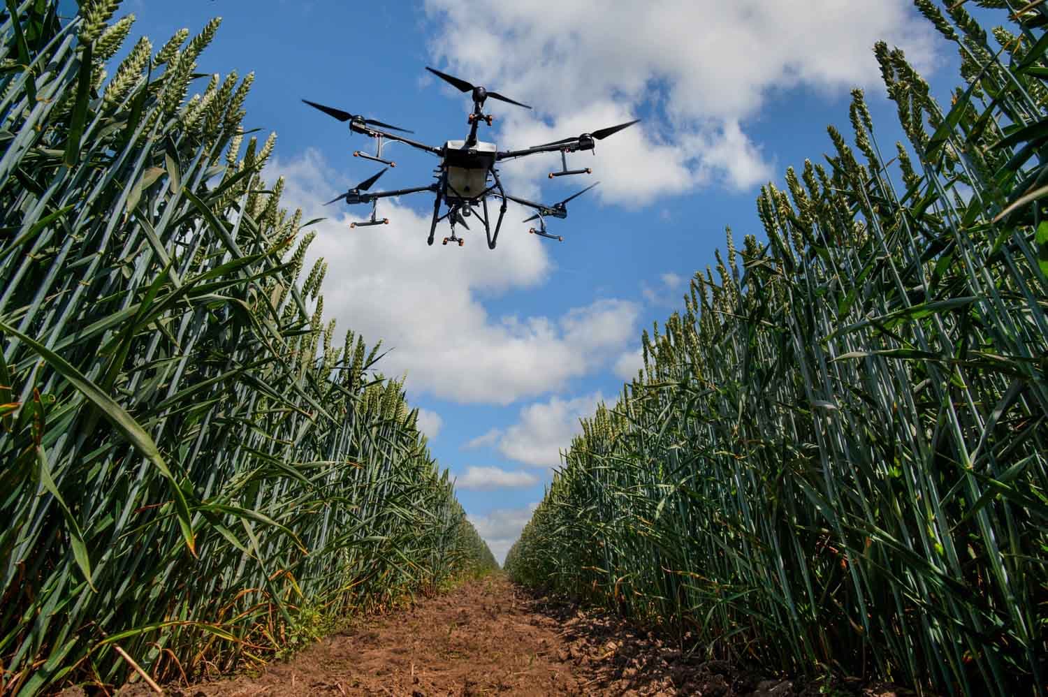 Autonomous orchard surveying