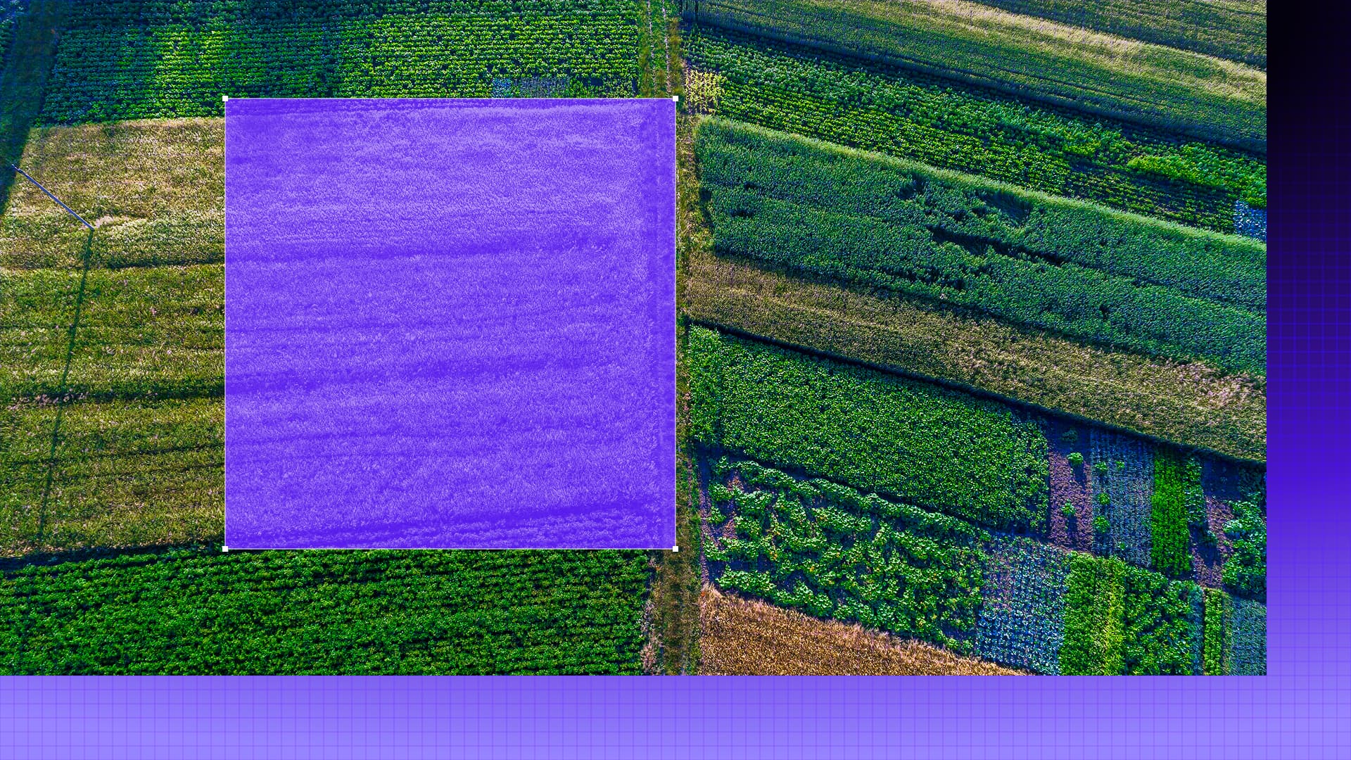 Top 5 benefits of a mission-centric platform for Agriculture